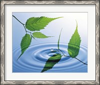 Framed Two branches with green leaves floating above blue water ripples