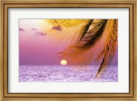 Framed Stylized tropical scene with violet sea, pink sky, setting sun and palm fronds