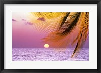 Framed Stylized tropical scene with violet sea, pink sky, setting sun and palm fronds