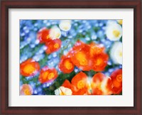 Framed Kaleidoscopic flowers in blues, orange and white