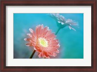 Framed Close up of pink and lavender flowers