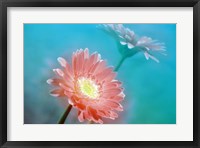 Framed Close up of pink and lavender flowers