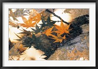 Framed Collage of green and pale orange leaves, white paper flower and abstract rocks