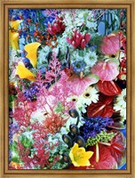 Framed Collage of multi colored flowers