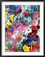 Framed Collage of multi colored flowers