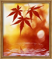 Framed Selective focus of red leaves above water ripples