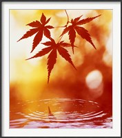 Framed Selective focus of red leaves above water ripples