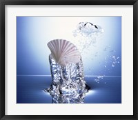 Framed White scallop shell being raised on pillar of bubbling water