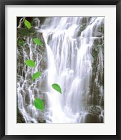 Framed Green leaves cascading in front of waterfall