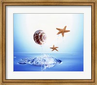 Framed shell and two starfish floating above bubbling water
