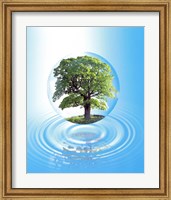Framed clear sphere with a full tree floats over a large water ring with reflection