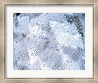 Framed Kaleidoscopic pattern in purple, lavender and white with water droplets