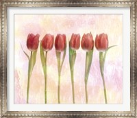 Framed Six pink tulips with green stems and leaves upright in front of pink plaster wall