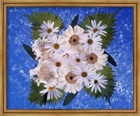 Framed Close up of white daisy bouquet with mottled blue background