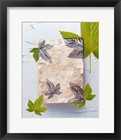 Framed Green and grey leaves superimposed on pink plaster rectangle on white plaster wall