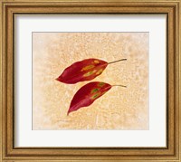 Framed Two red leaves on pink background