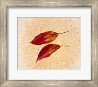 Framed Two red leaves on pink background