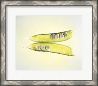 Framed Two transparent pea pods with yellow green background
