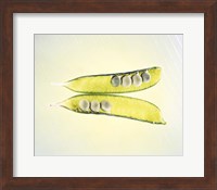 Framed Two transparent pea pods with yellow green background