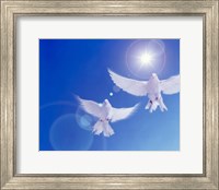 Framed Two doves side by side with wings outstretched in flight with brilliant light and blue sky