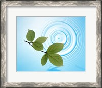 Framed Twig with green leaves above perfect water circles
