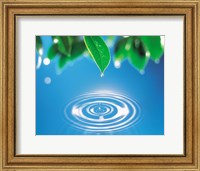 Framed Green leaves dripping water into perfect circles below