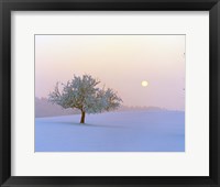 Framed Foggy winter scene with tree and moon