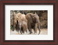 Framed African elephants (Loxodonta africana) playing with water, Samburu National Park, Rift Valley Province, Kenya