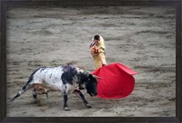 Framed Matador and a bull in a bullring, Lima, Peru