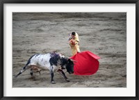 Framed Matador and a bull in a bullring, Lima, Peru