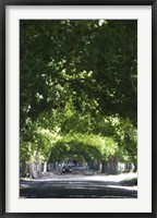 Framed Car on a country road, Lujan De Cuyo, Mendoza Province, Argentina