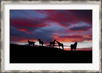 Framed Silhouette of horses at night, Iceland