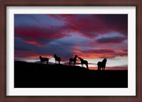 Framed Silhouette of horses at night, Iceland