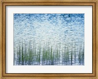 Framed Grass in water