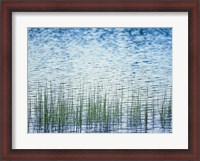 Framed Grass in water
