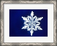 Framed Snowflake 1