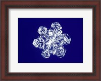 Framed Snowflake 2