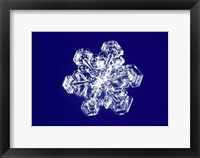 Framed Snowflake 2