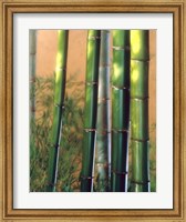 Framed Bamboo Sticks