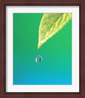 Framed Droplet Falling From Green Leaf with Green and Teal Colored Background
