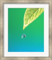 Framed Droplet Falling From Green Leaf with Green and Teal Colored Background