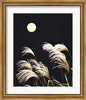 Framed Close Up View of Foxtail Grass with Full Moon in Background