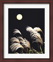 Framed Close Up View of Foxtail Grass with Full Moon in Background