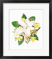 Framed Arranged Flowers and Leaves on White Background