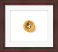 Framed Three Eggs in Nest Illustrated On White Background