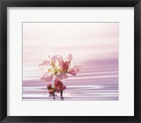 Framed Flower with Water Background