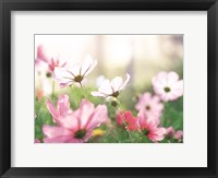 Framed Pink flowers in meadow