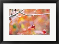 Framed Thin Tree Branch with Bud