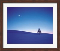 Framed Moon in Sky and Single Tree