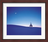 Framed Moon in Sky and Single Tree